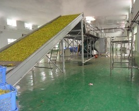 香蕉钻洞视频厂家